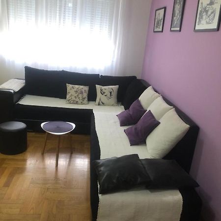 Apartman Tanjuska Podgoriţa Exterior foto