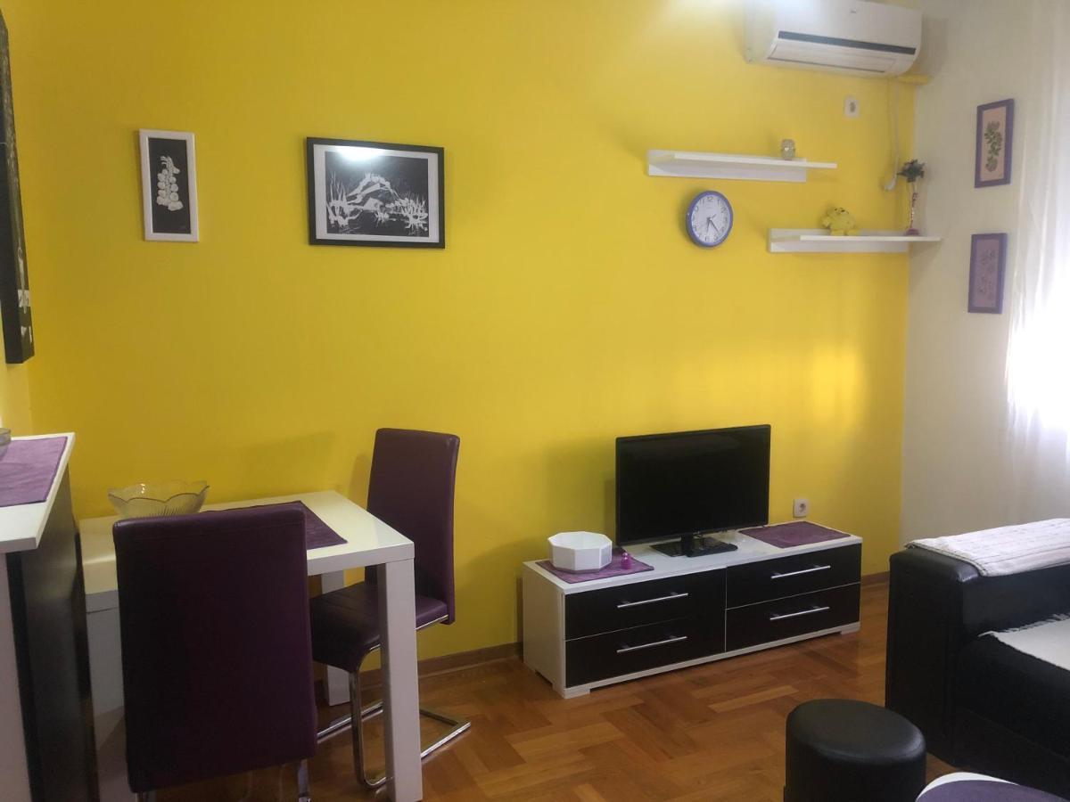 Apartman Tanjuska Podgoriţa Exterior foto